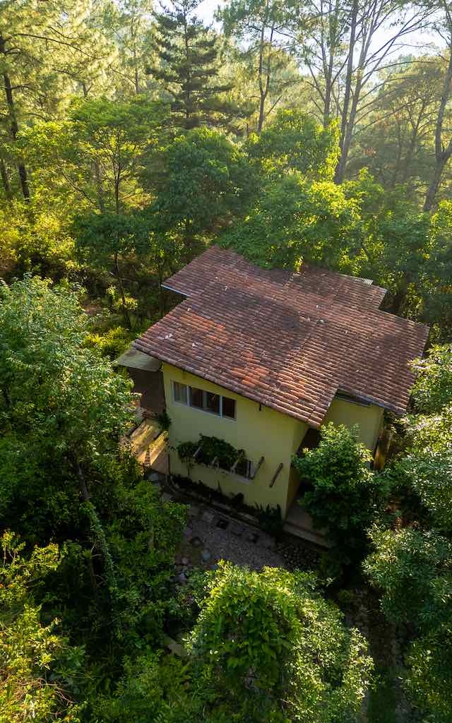 Aerial view of a cozy yellow house surrounded by lush green trees in a serene forest setting.